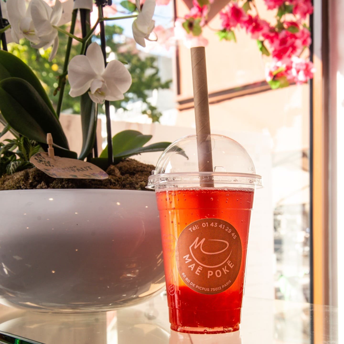 Soda Jelly Fresh